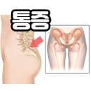 에스팀피트니스 이미지