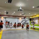 인지 태권도 이미지