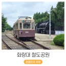 개인화물608 | 33개월 아기랑 다녀온 화랑대 철도공원 나들이 (ft. 주차장 실황)
