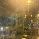 스고이오뎅 | 3박4일 겨울 오사카 여행 1일차 : ) 도톤보리에서 장어덮밥 먹고 당고 먹고 가챠하고 오뎅바까지