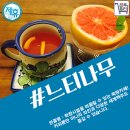 느티나무 쪽방카페 이미지