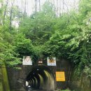 고양화전20 이미지