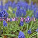 예주약국 이미지