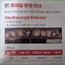 2025년 돈나무꽃 축제 | 비 와서 망한 2025년 유채꽃 축제 후기 및 꿀팁