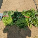 한길3농장 이미지