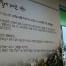 유일냉면