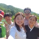 자연 팜 이미지