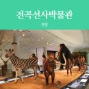 전곡선사박물관 네이버블로그