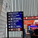 메트로 통신 | 여행 1일차] MRT 왕복 토큰 수령, 타이베이 메인 역까지 MRT, 시저 메트로 타이베이 호텔 후기/숙소추천