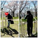 부안군정신건강복지센터 | 정신건강 복지센터 야외학습~ 군산 익산 전주 김제 서천 보령 순창 장수 부안 건강체조 김은조 강사