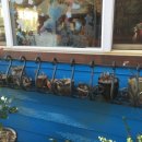 로즈마리펜션 이미지