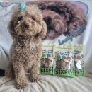 고르다 수제간식 | 식스펫 바삭 오리가슴살, 기호성 높은 자연간식 추천 라떼 찐반응 후기