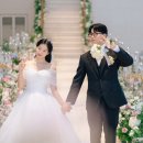 더마레보