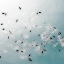 웅비(아) 이미지