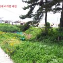 난지섬관광지 이미지