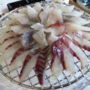 삼천포해산물