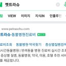 펫하우스 동물병원 이미지