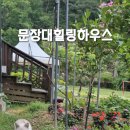 문장대힐링하우스민박 이미지