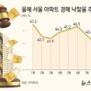 강남-221 이미지