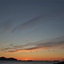 김해대로2471번길 이미지