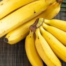 상무3호 이미지