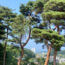 가이펜션 이미지