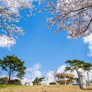장성호 미락단지 | 장성호관광지 문화예술공원_임권택 시네마테크[전남 장성]