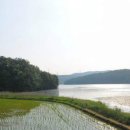 눈앞에 바다 이미지