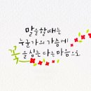 피그말리온 이미지