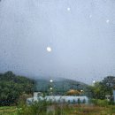 GS25 강화동막점 | 강화도 동막해변 카페 추천 분위기가 좋았던 머드플렛