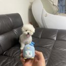 구멍가개 이미지