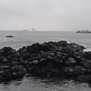 바다정원 이미지