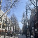 11545-03-26-08 | 26/03/08 쿠키런 킹덤 특별전, 위대한 왕국의 유산