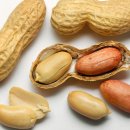 땅콩동물병원 이미지