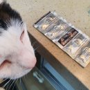 대호약국 이미지