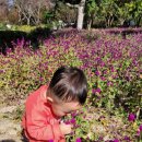 창조어린이집 이미지