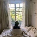 세오니네집 | 제주 가성비 숙소) 서귀포시 성산에 위치한 ‘세오니네민박’ 동쪽 감성숙소로 추천