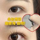 시그노엘 네이버블로그