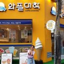 와플대학사가정캠퍼스