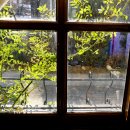 초이 수제비 이미지