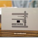 감포참가자미 이미지