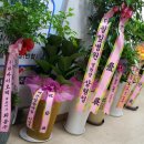 (주)바이오셀컴퍼니 이미지