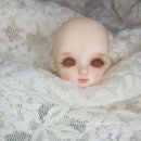 유)파파야 이미지