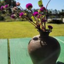 온주농장 이미지