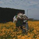 제주 애견 아가야 | [내돈 여행] 제주 그 때 그 집 / 까델아스 펜션 / 애견동반 펜션 / 제주도 펜션 / 제주도 애견동반 펜션