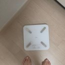 [금정구평생학습관] 몸과 마음을 가볍게 건강 다이어트 요리 | [내돈내산]부작용 없고 효과 좋은 다이어트 한약으로 명절다이어트 성공 후기💪
