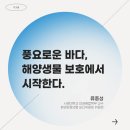 고래바다PC 이미지