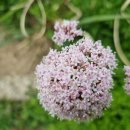 영의농장 이미지