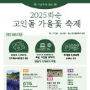 D-15 이미지