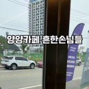 강원도 양양 커피숍 근황 이미지